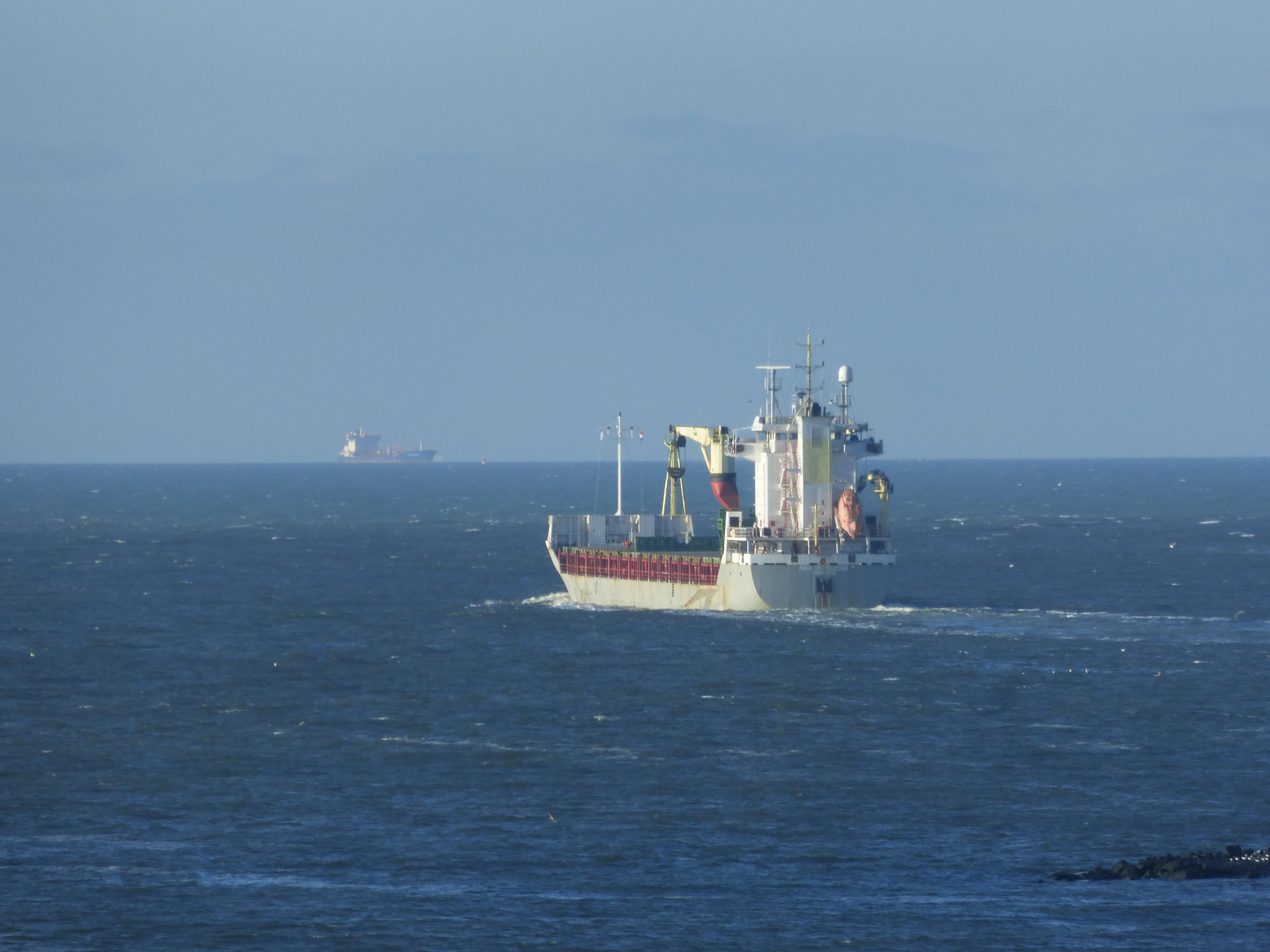 Ara Rotterdam Ara Rotterdam